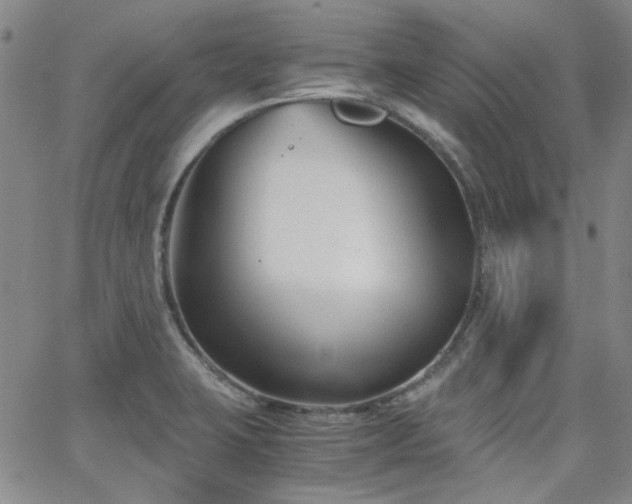 X0000063521423200601201421