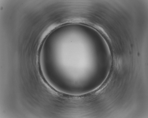 X0000063521424200601201421