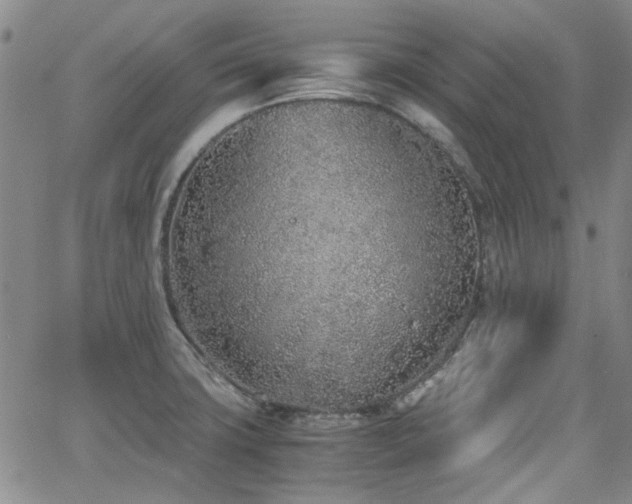 X0000063521427200601201422