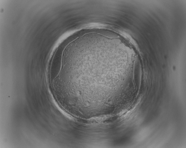 X0000063521429200601201422