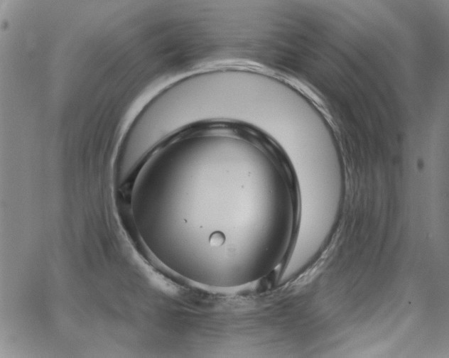 X0000063521430200601201422