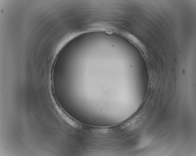 X0000063521431200601201422