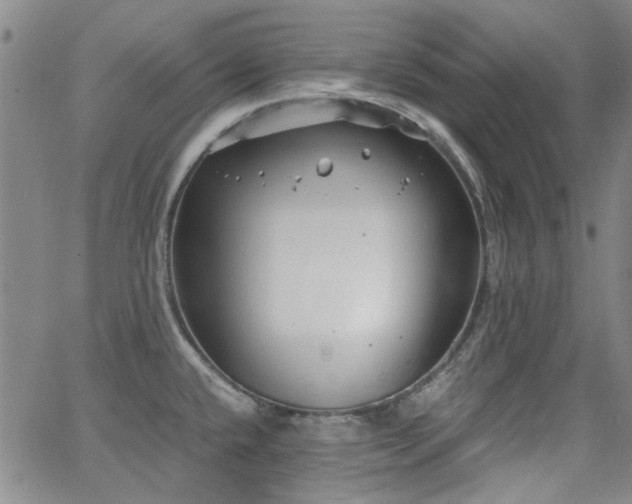 X0000063521432200601201422