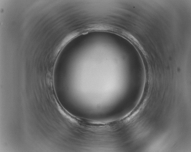 X0000063521433200601201422