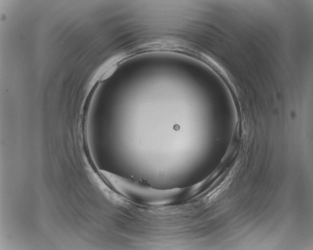 X0000063521434200601201422