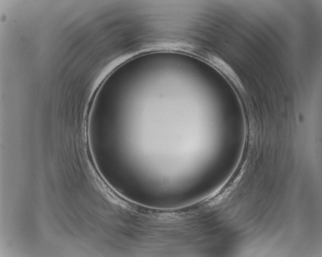 X0000063521436200601201422