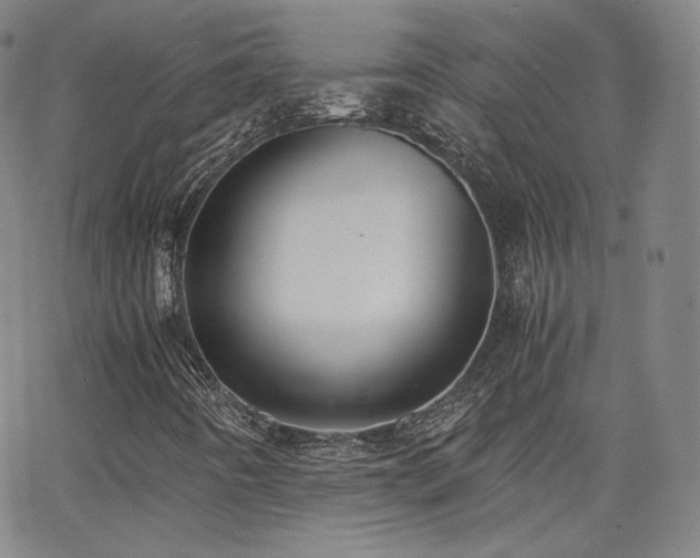 X0000063521442200601201421