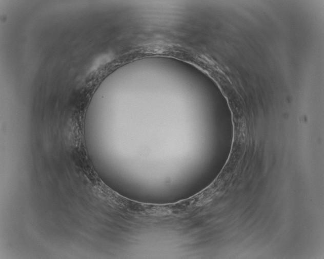 X0000063521446200601201421