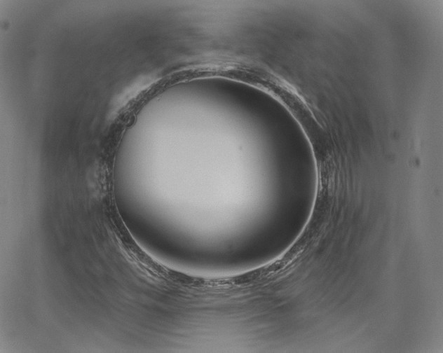 X0000063521448200601201421