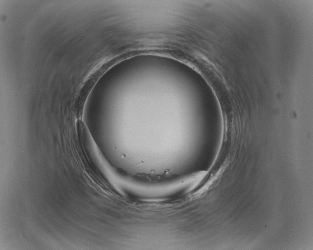 X0000063521449200601201421