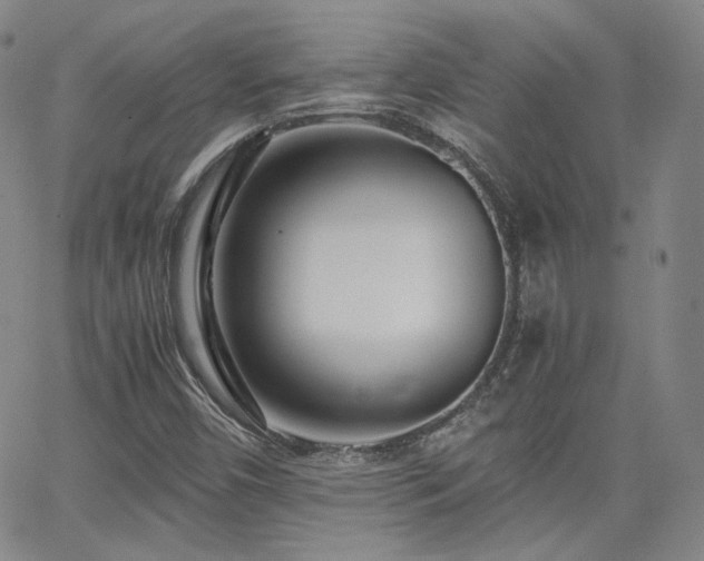 X0000063521450200601201421