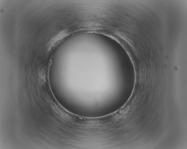 X0000063521451200601201421