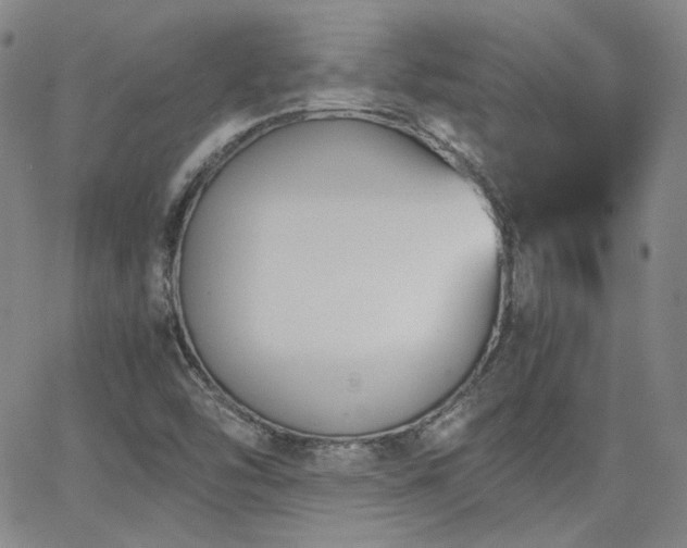 X0000063521454200601201421