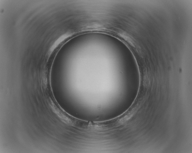 X0000063521458200601201421