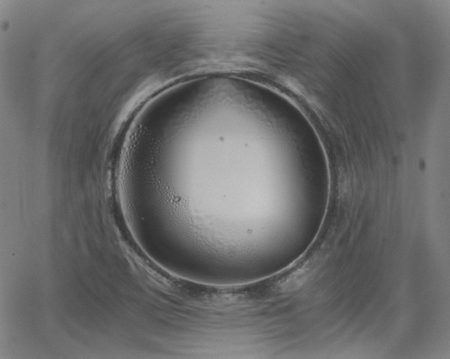 X0000063521459200601201421