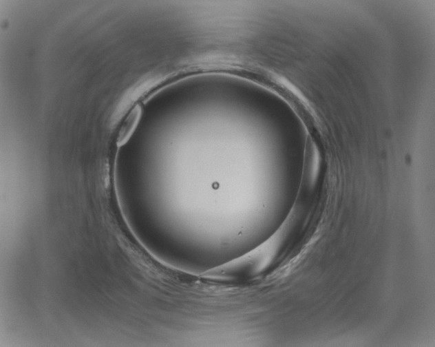 X0000063521461200601201421