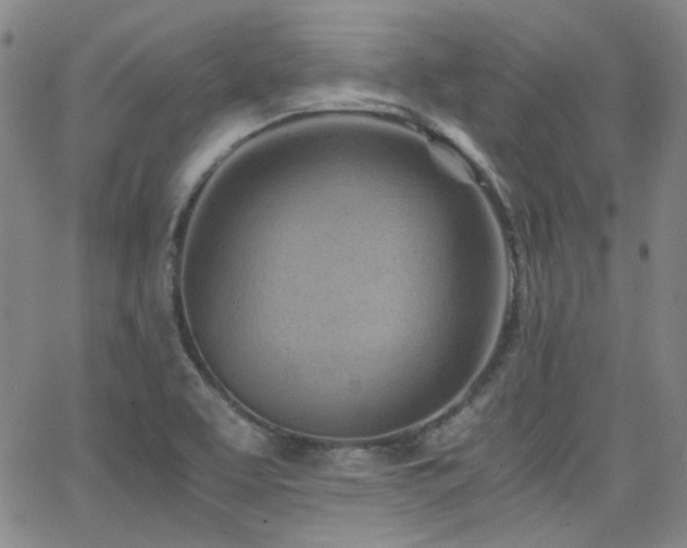 X0000063521463200601201420