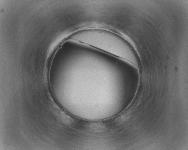 X0000063521464200601201420