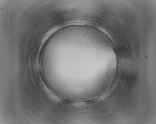 X0000063521466200601201420