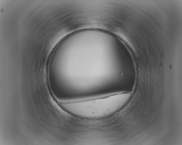 X0000063521468200601201420