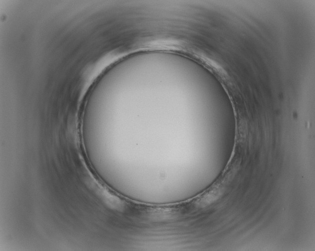 X0000063521470200601201420