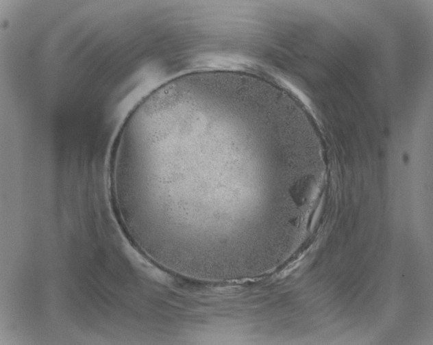 X0000063521471200601201420