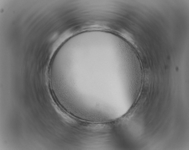 X0000063521474200601201420