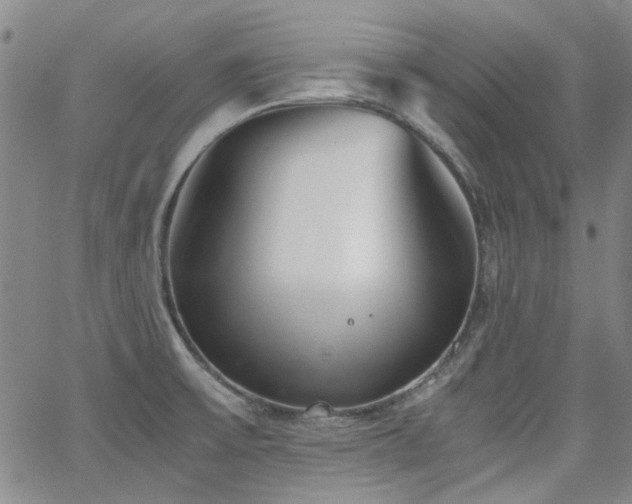 X0000063521475200601201420