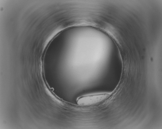 X0000063521476200601201420