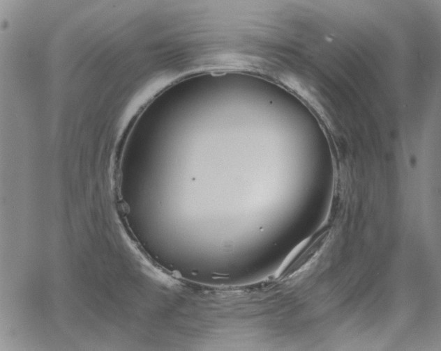 X0000063521477200601201420