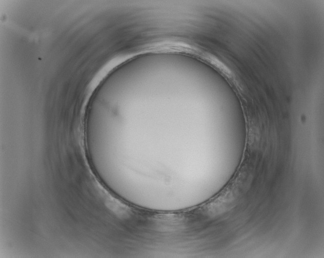 X0000063521478200601201420