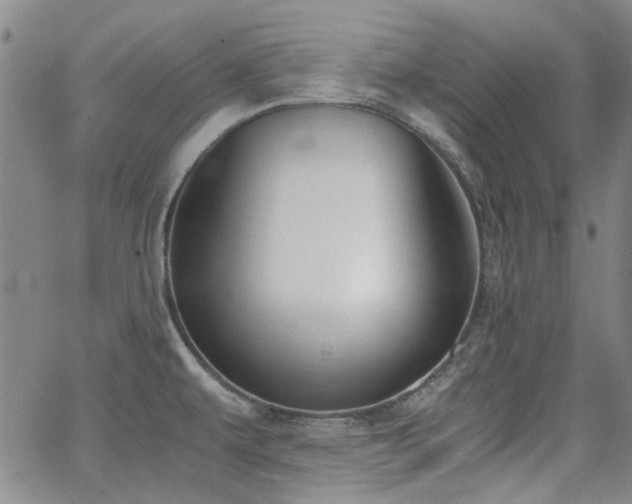 X0000063521479200601201420