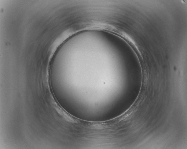 X0000063521480200601201420