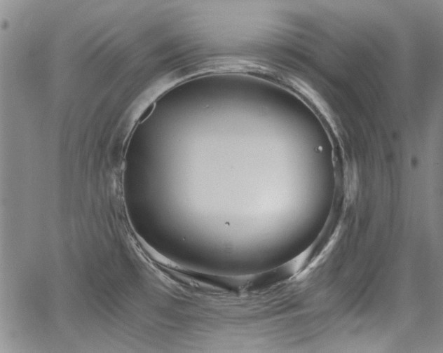 X0000063521481200601201420