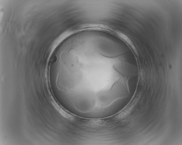 X0000063521482200601201420