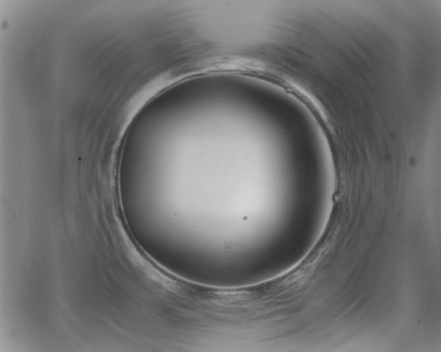 X0000063521483200601201420