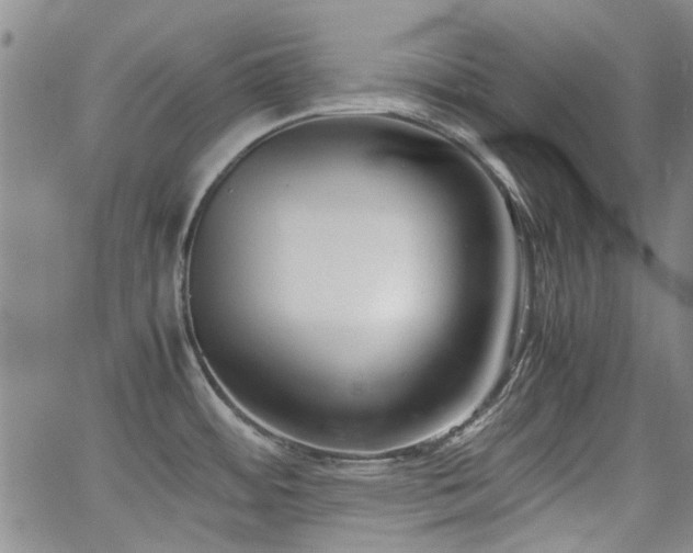 X0000063521484200601201420