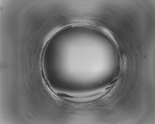 X0000063521485200601201420