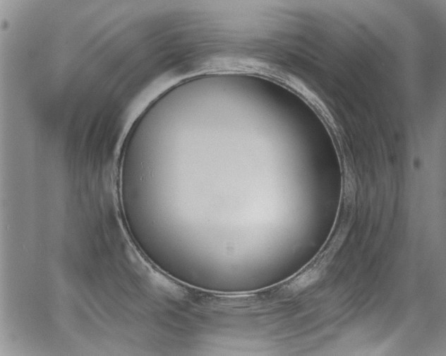 X0000063521486200601201420