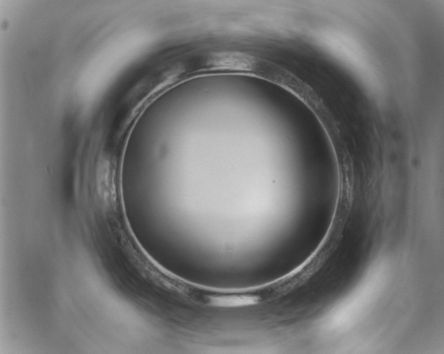 X0000063521487200601201420