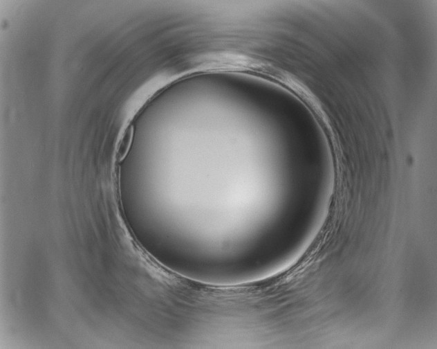 X0000063521488200601201420