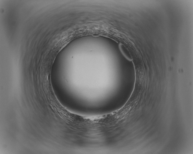 X0000063521489200601201419