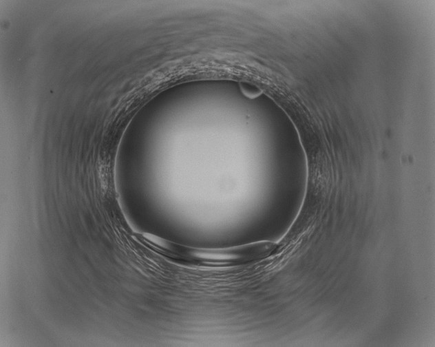 X0000063521490200601201419