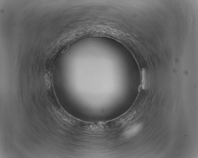 X0000063521491200601201419