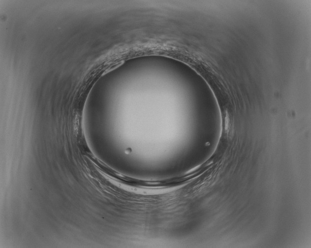 X0000063521492200601201419