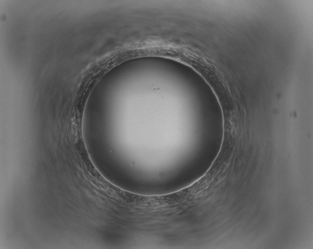 X0000063521493200601201419