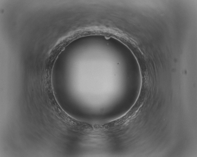 X0000063521494200601201419