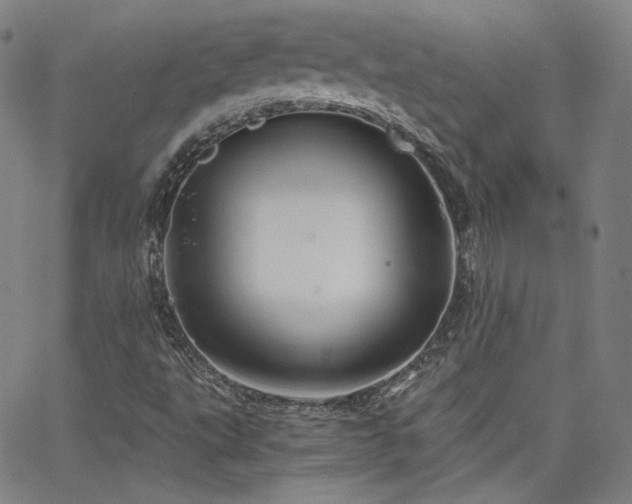 X0000063521495200601201419