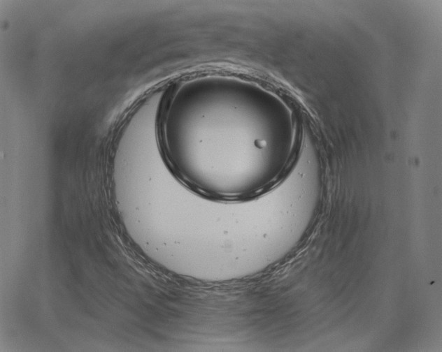 X0000063521496200601201419