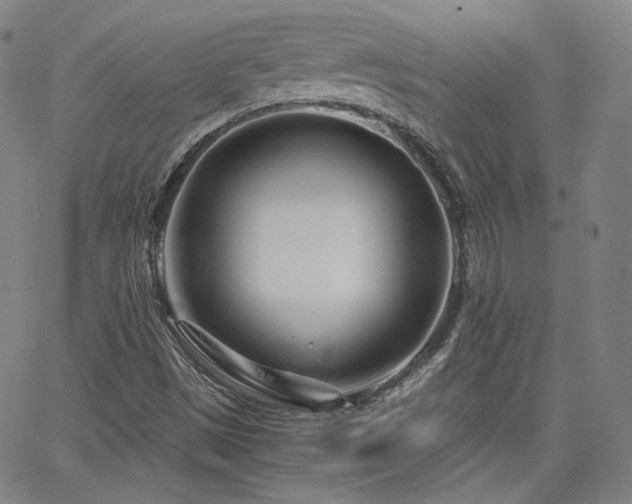 X0000063521497200601201419